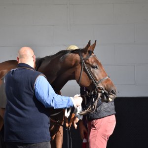 Redcar | 2 YO Trophy | 1/10/22