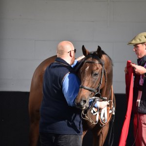 Redcar | 2 YO Trophy | 1/10/22