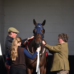 Redcar | 2 YO Trophy | 1/10/22