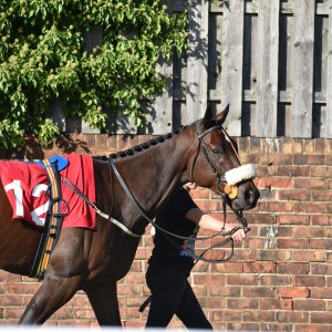 Redcar | 2 YO Trophy | 1/10/22