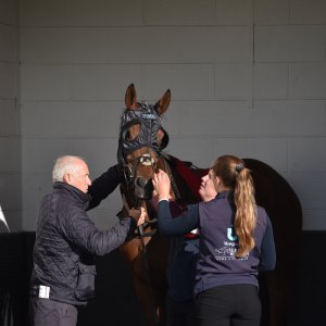 Redcar | 2 YO Trophy | 1/10/22