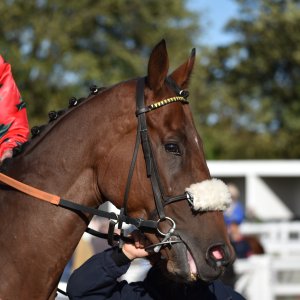 Redcar | 2 YO Trophy | 1/10/22