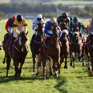 Redcar | 2 YO Trophy | 1/10/22