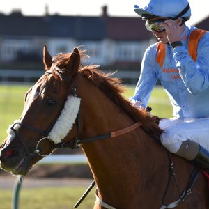 Redcar | 2 YO Trophy | 1/10/22