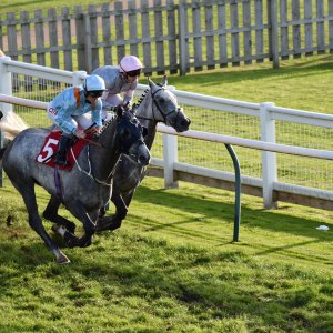 Redcar | 2 YO Trophy | 1/10/22