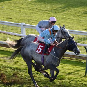 Redcar | 2 YO Trophy | 1/10/22