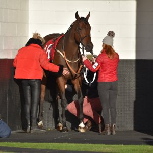Redcar | 2 YO Trophy | 1/10/22