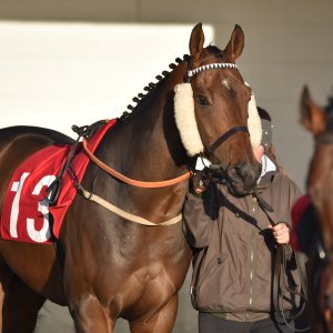 Redcar | 2 YO Trophy | 1/10/22