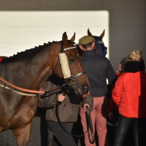 Redcar | 2 YO Trophy | 1/10/22