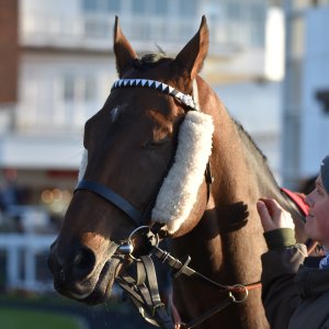 Redcar | 2 YO Trophy | 1/10/22