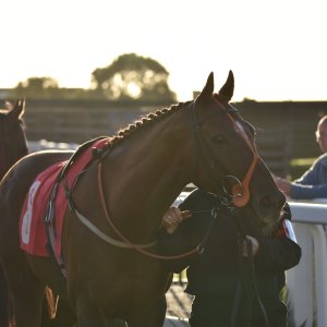 Redcar | 2 YO Trophy | 1/10/22