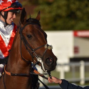 Redcar | 2 YO Trophy | 1/10/22