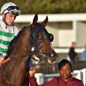 Redcar | 2 YO Trophy | 1/10/22