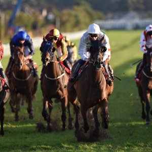 Redcar | 2 YO Trophy | 1/10/22