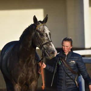 Redcar | 2 YO Trophy | 1/10/22