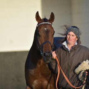 Redcar | 2 YO Trophy | 1/10/22