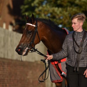 Redcar | 2 YO Trophy | 1/10/22