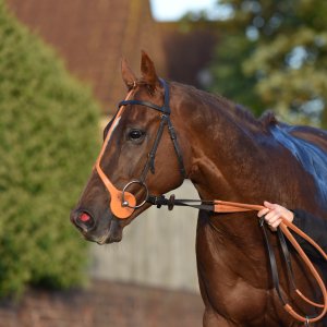 Redcar | 2 YO Trophy | 1/10/22