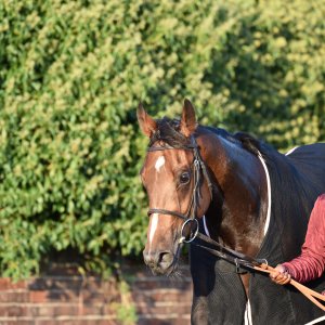 Redcar | 2 YO Trophy | 1/10/22