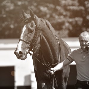 Redcar | Zetland Gold Cup | 29/5/23