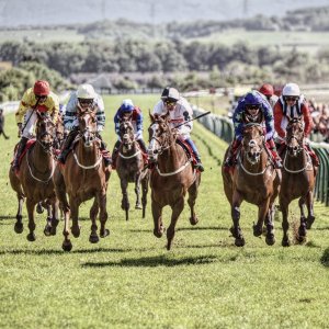Redcar | Zetland Gold Cup | 29/5/23