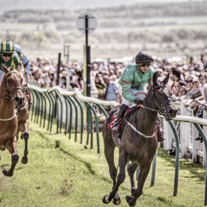 Redcar | Zetland Gold Cup | 29/5/23
