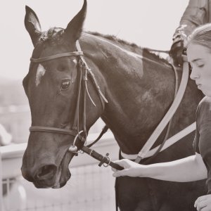 Redcar | Zetland Gold Cup | 29/5/23