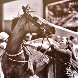 Redcar | Zetland Gold Cup | 29/5/23