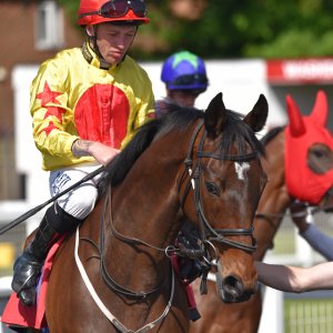 Redcar | Zetland Gold Cup | 29/5/23