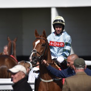 Redcar | Zetland Gold Cup | 29/5/23