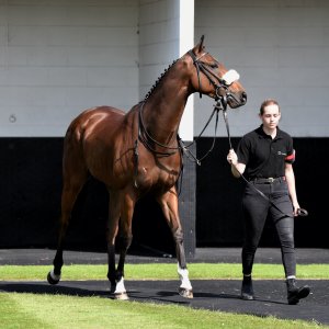 Redcar | Zetland Gold Cup | 29/5/23