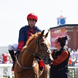 Redcar | Zetland Gold Cup | 29/5/23