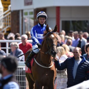 Redcar | Zetland Gold Cup | 29/5/23