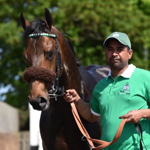 Redcar | Zetland Gold Cup | 29/5/23
