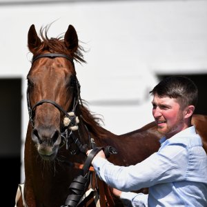 Redcar | Zetland Gold Cup | 29/5/23