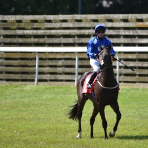 Redcar | Zetland Gold Cup | 29/5/23