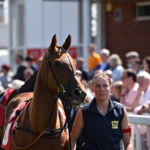 Redcar | Zetland Gold Cup | 29/5/23