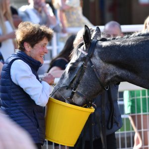 Redcar | Zetland Gold Cup | 29/5/23