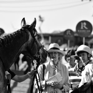 Redcar | Zetland Gold Cup | 29/5/23
