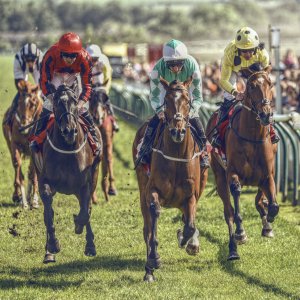 Redcar | Zetland Gold Cup | 29/5/23