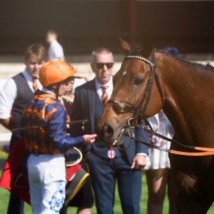 Redcar | Zetland Gold Cup | 29/5/23