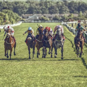 Redcar | Zetland Gold Cup | 29/5/23
