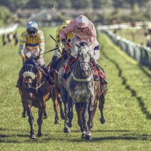 Redcar | Zetland Gold Cup | 29/5/23