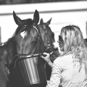 Redcar | Zetland Gold Cup | 29/5/23