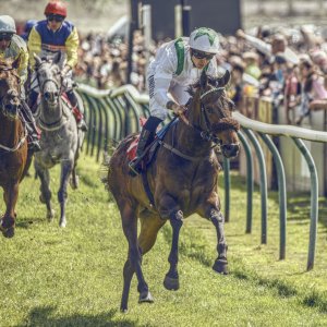Redcar | Zetland Gold Cup | 29/5/23