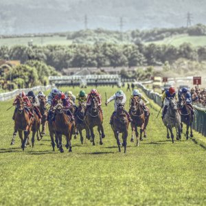 Redcar | Zetland Gold Cup | 29/5/23