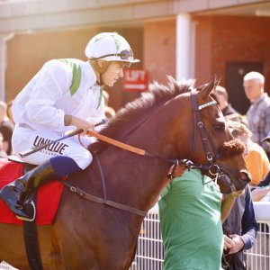 Redcar | Zetland Gold Cup | 29/5/23