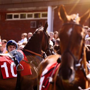 Redcar | Zetland Gold Cup | 29/5/23