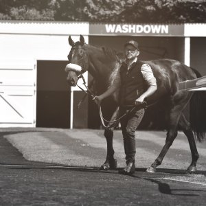 Redcar | Zetland Gold Cup | 29/5/23