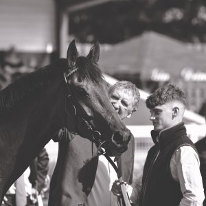 Redcar | Zetland Gold Cup | 29/5/23